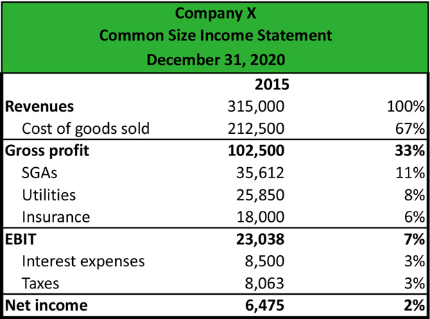 What is a Common Size Income Statement? - Definition